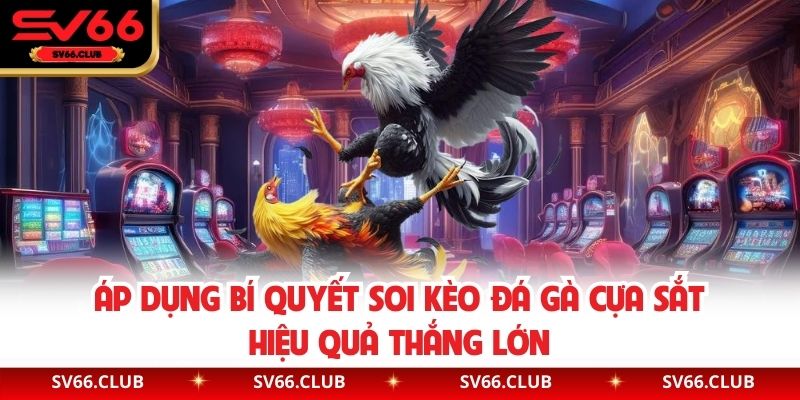Áp dụng bí quyết soi kèo đá gà cựa sắt hiệu quả thắng lớn