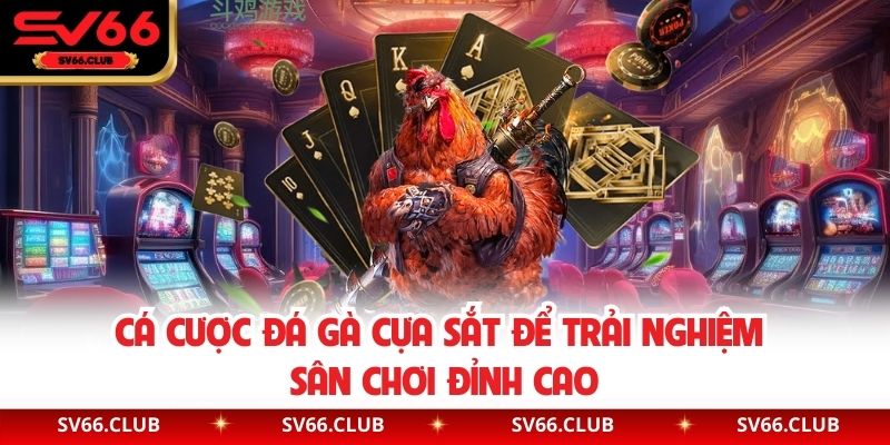 Cá cược đá gà cựa sắt để trải nghiệm sân chơi đỉnh cao