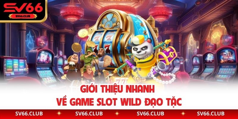 Giới thiệu nhanh về game slot Wild Đạo Tặc